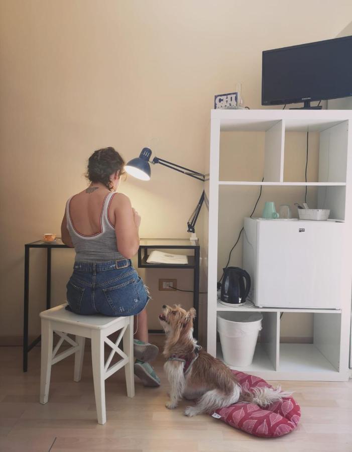 Basic Double Room