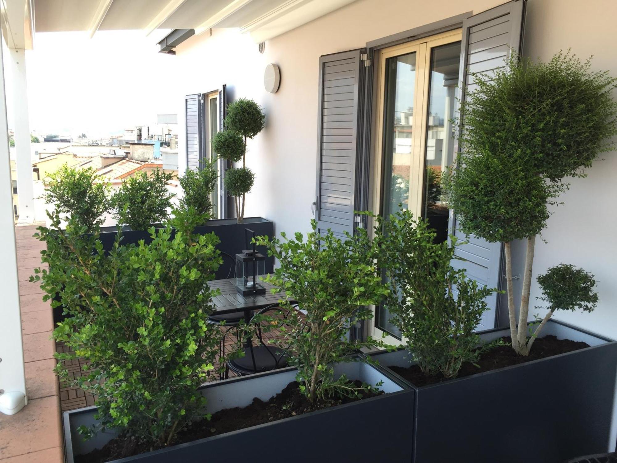 Superior Double Room Terrace