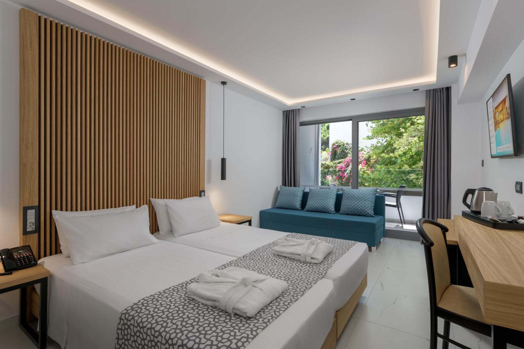 Superior Double or Twin Room Mountain View