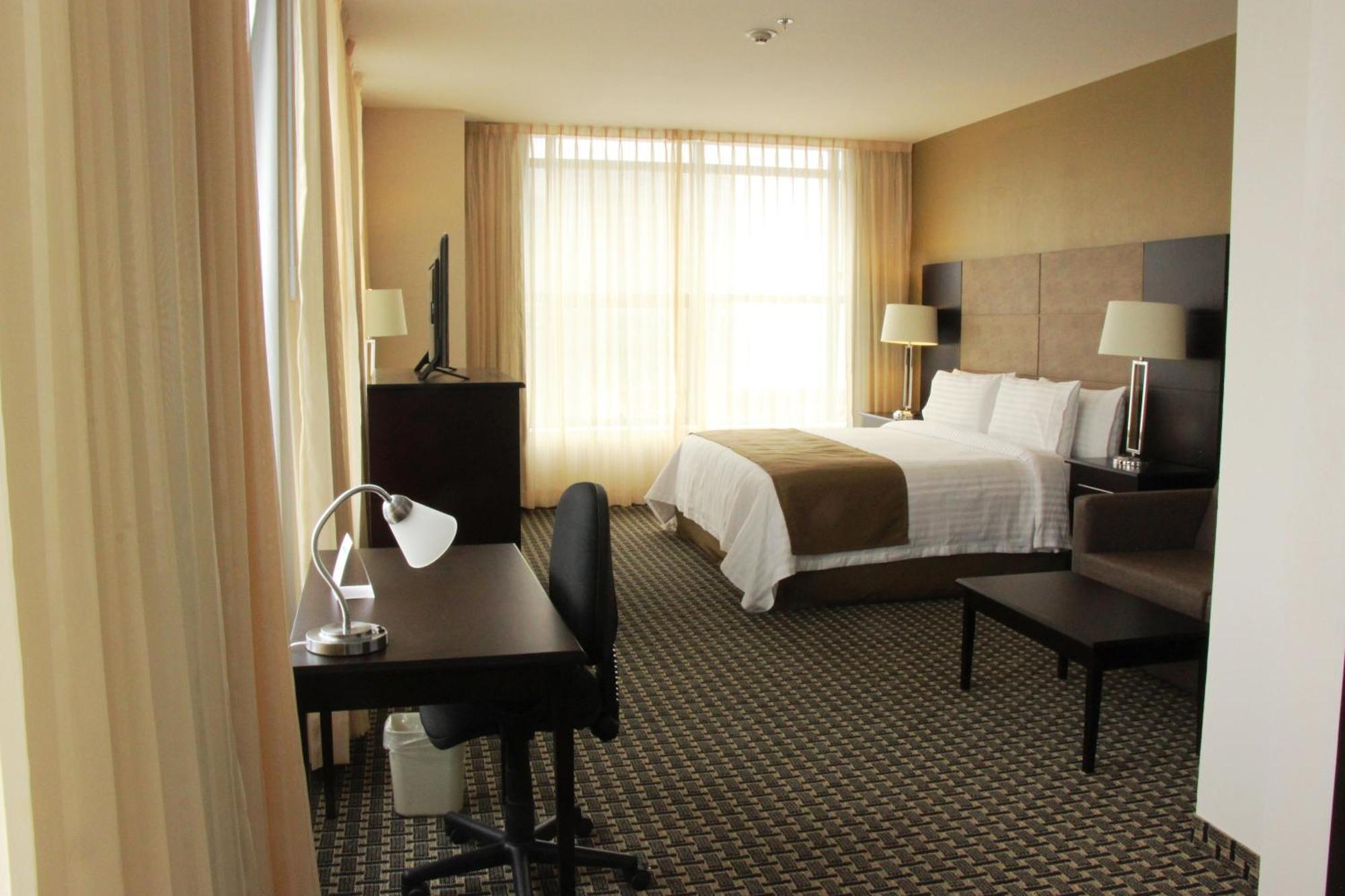 Suite con cama extragrande