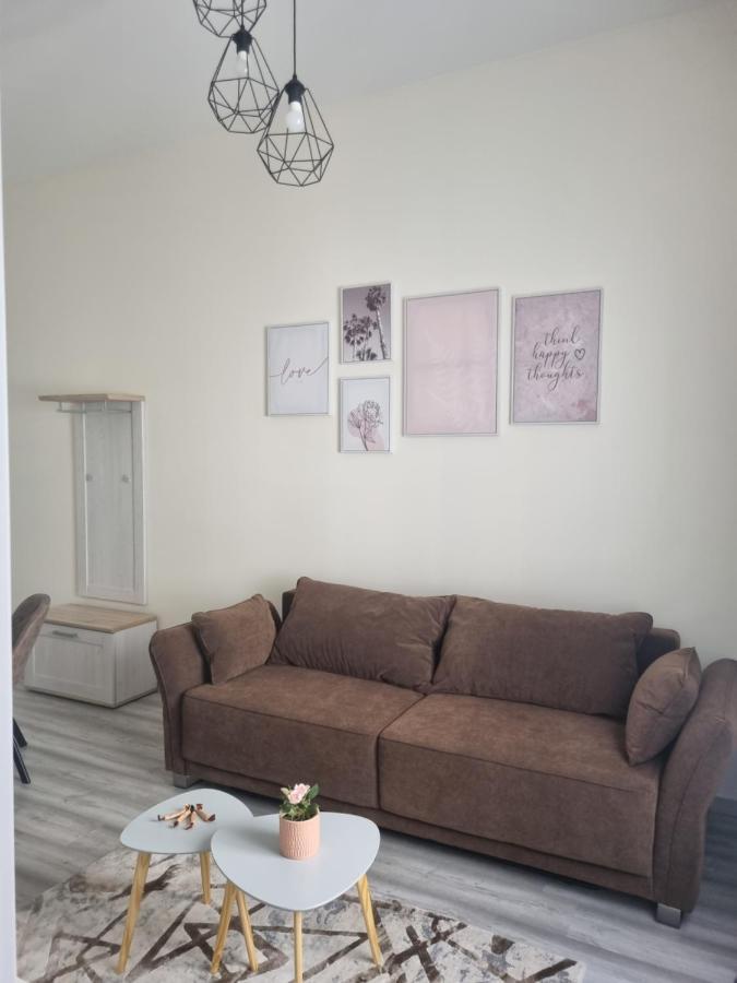 Family Studio