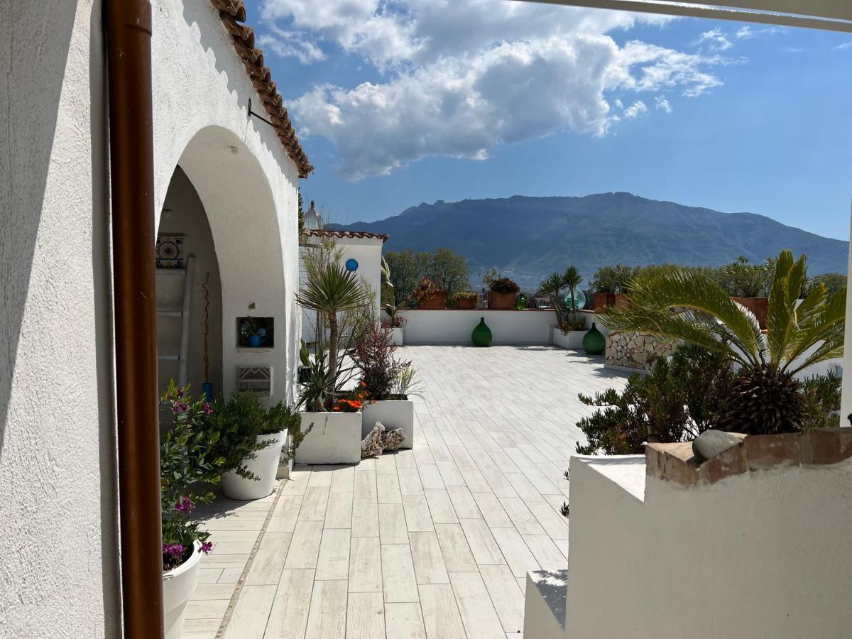 Suite Terrace