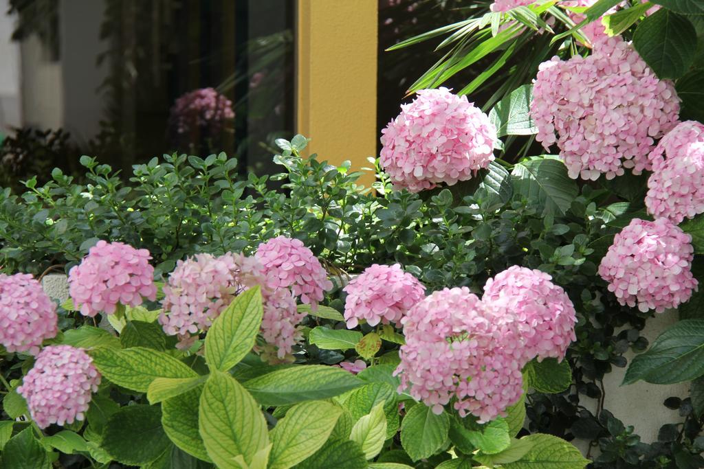 Twin Room Garden View