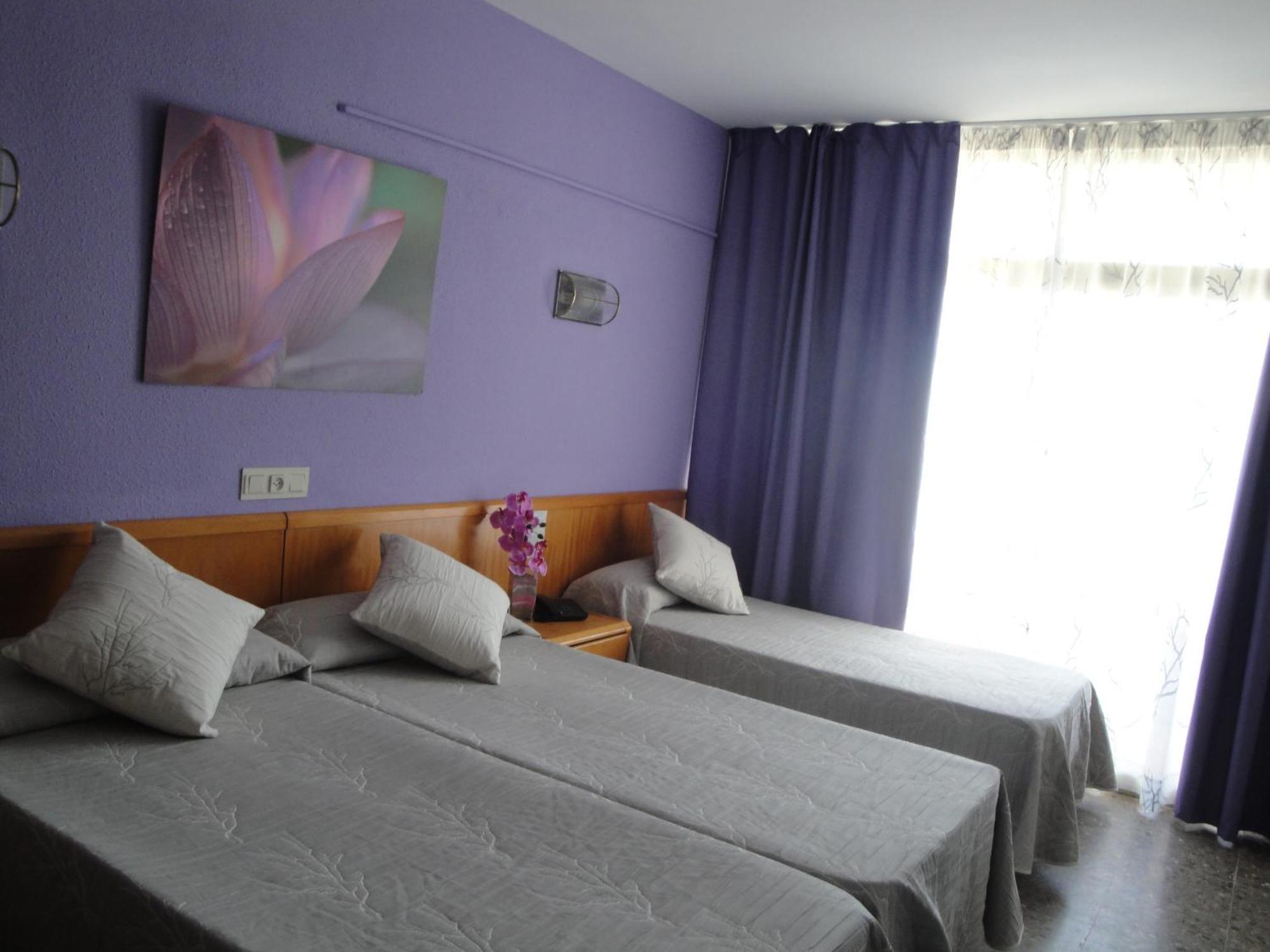 Basic Triple Room