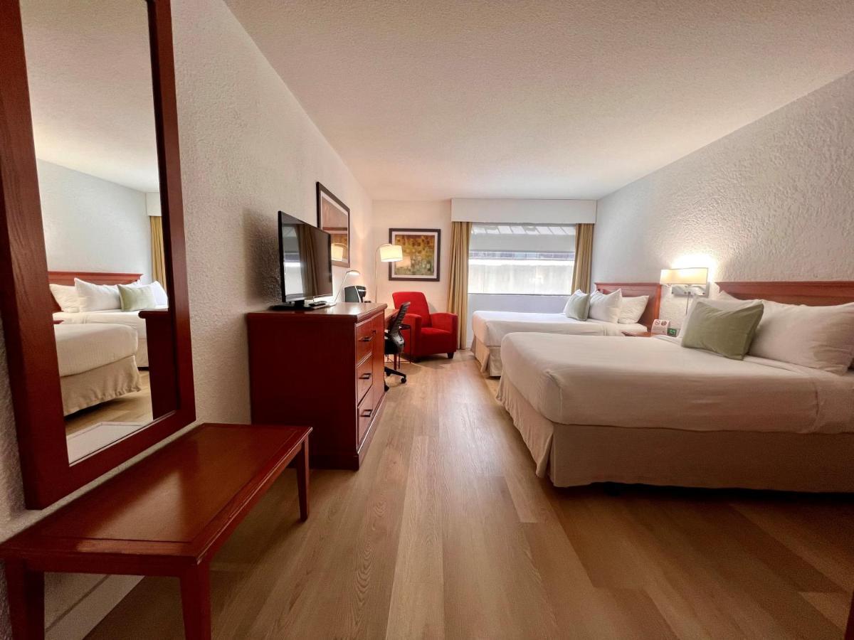 Comfort Room 2 double beds