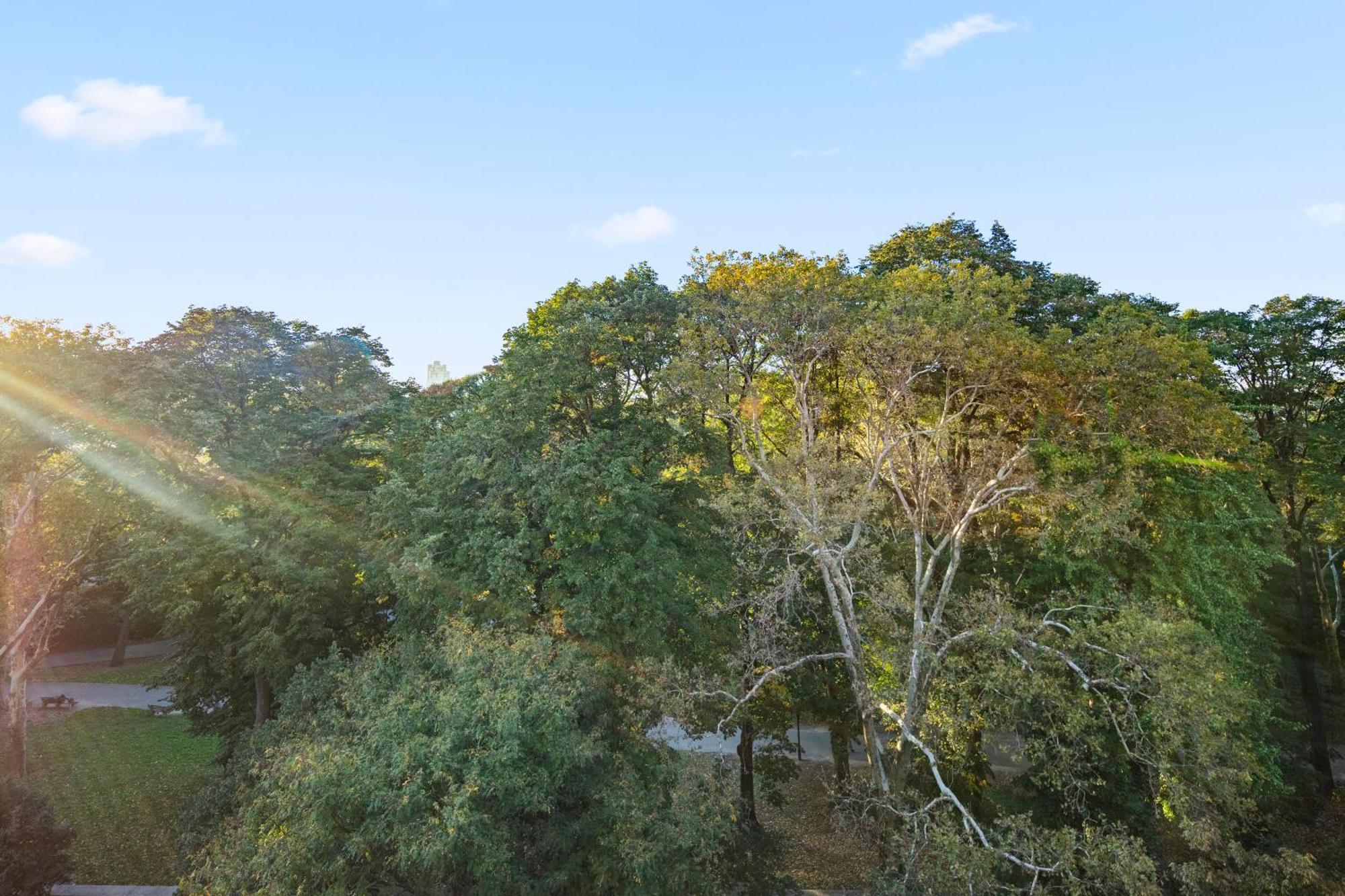 Quarto Duplo com Vista do Parque