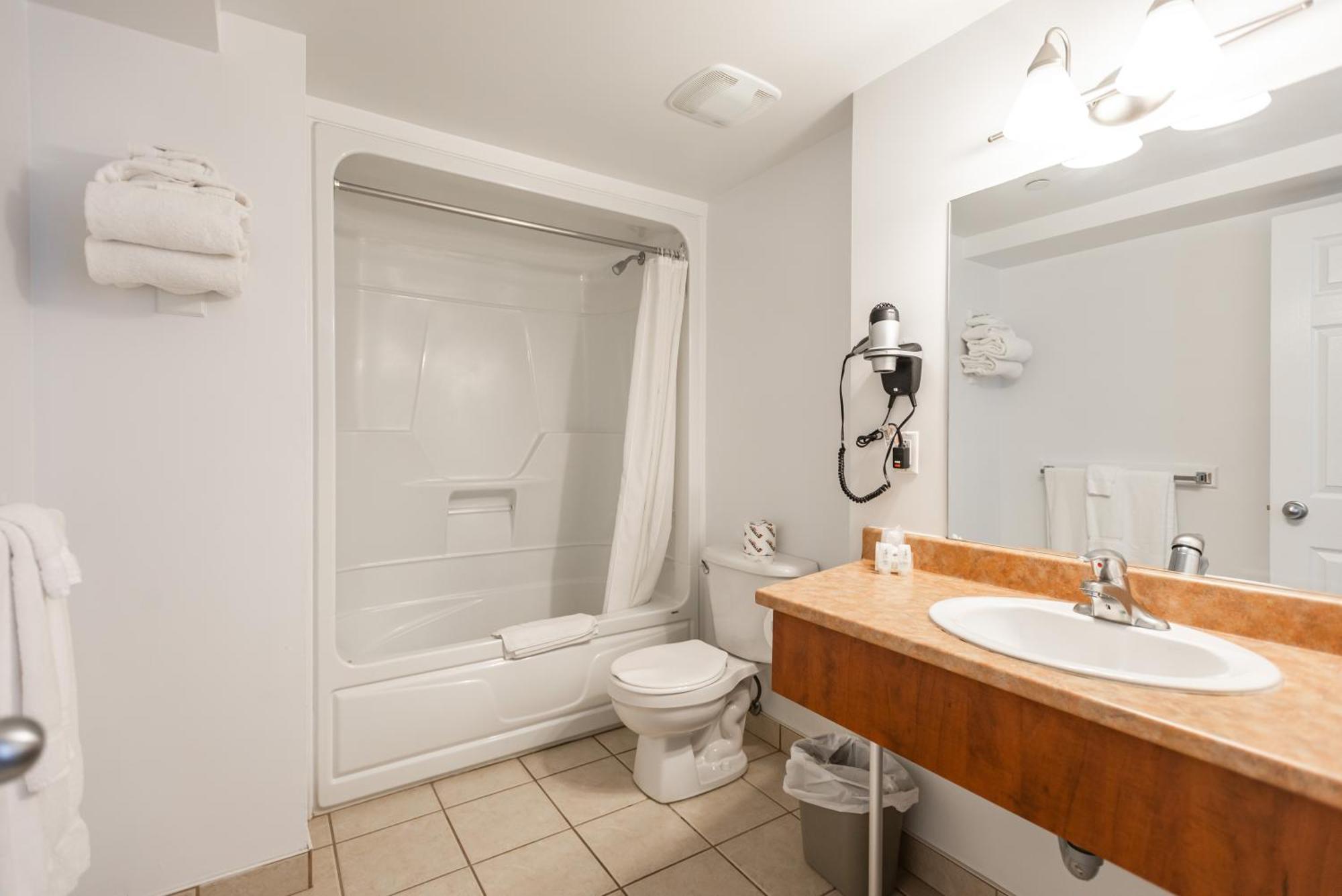 Studio 2 Beds