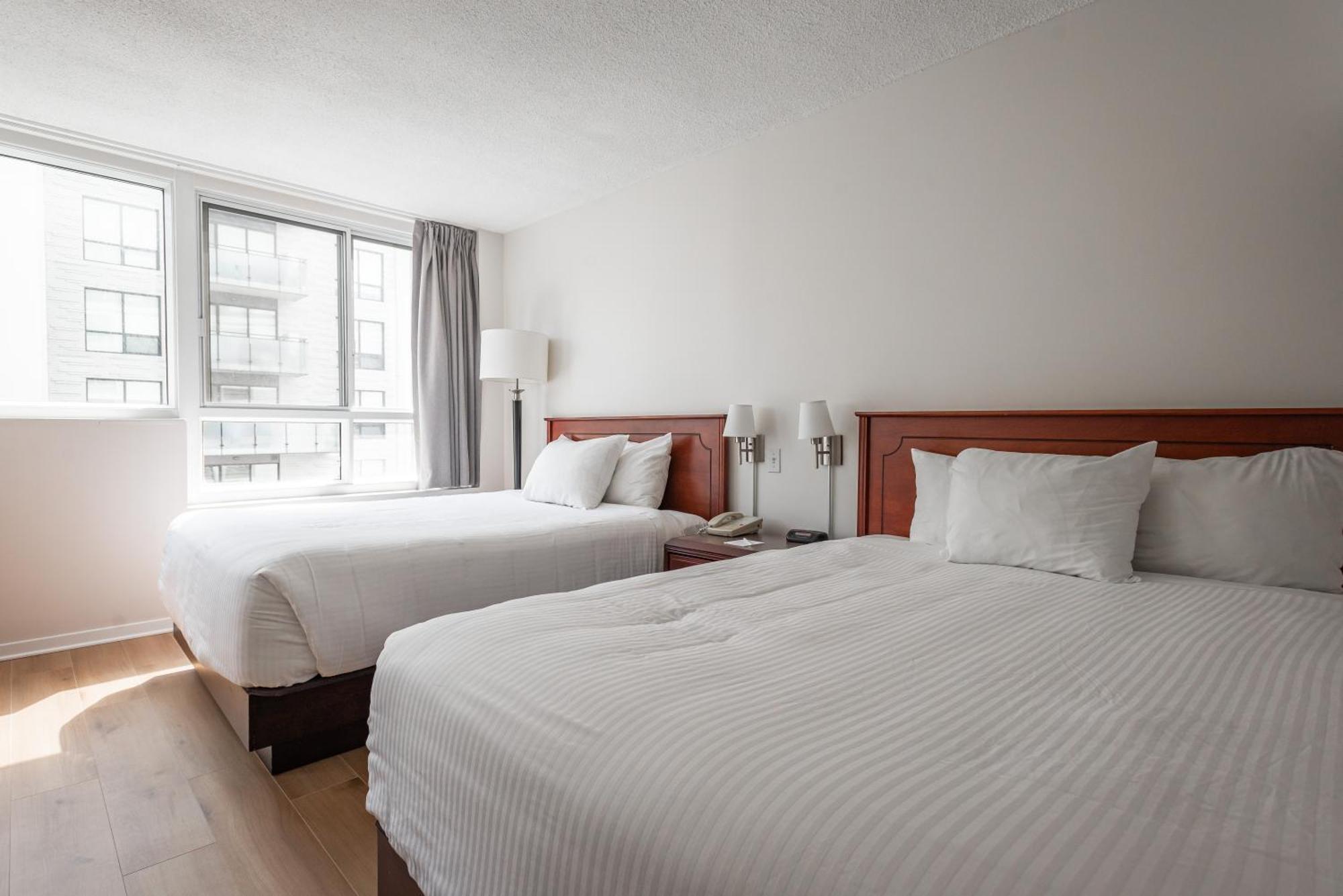 Studio 2 Beds