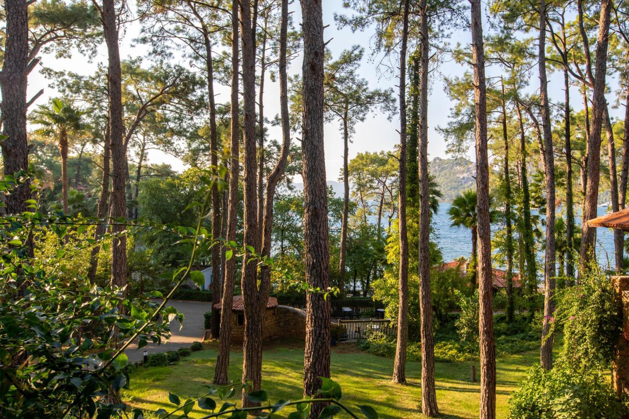 Two Bedroom Suite Garden View
