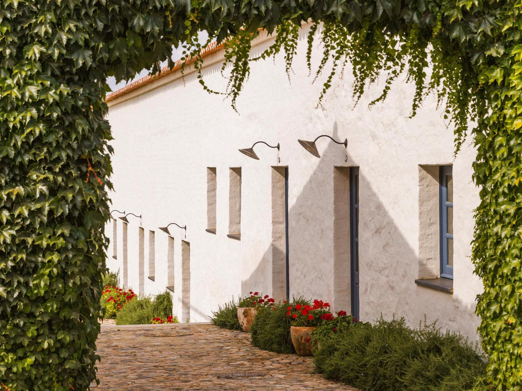 Twin or Double Room Winery