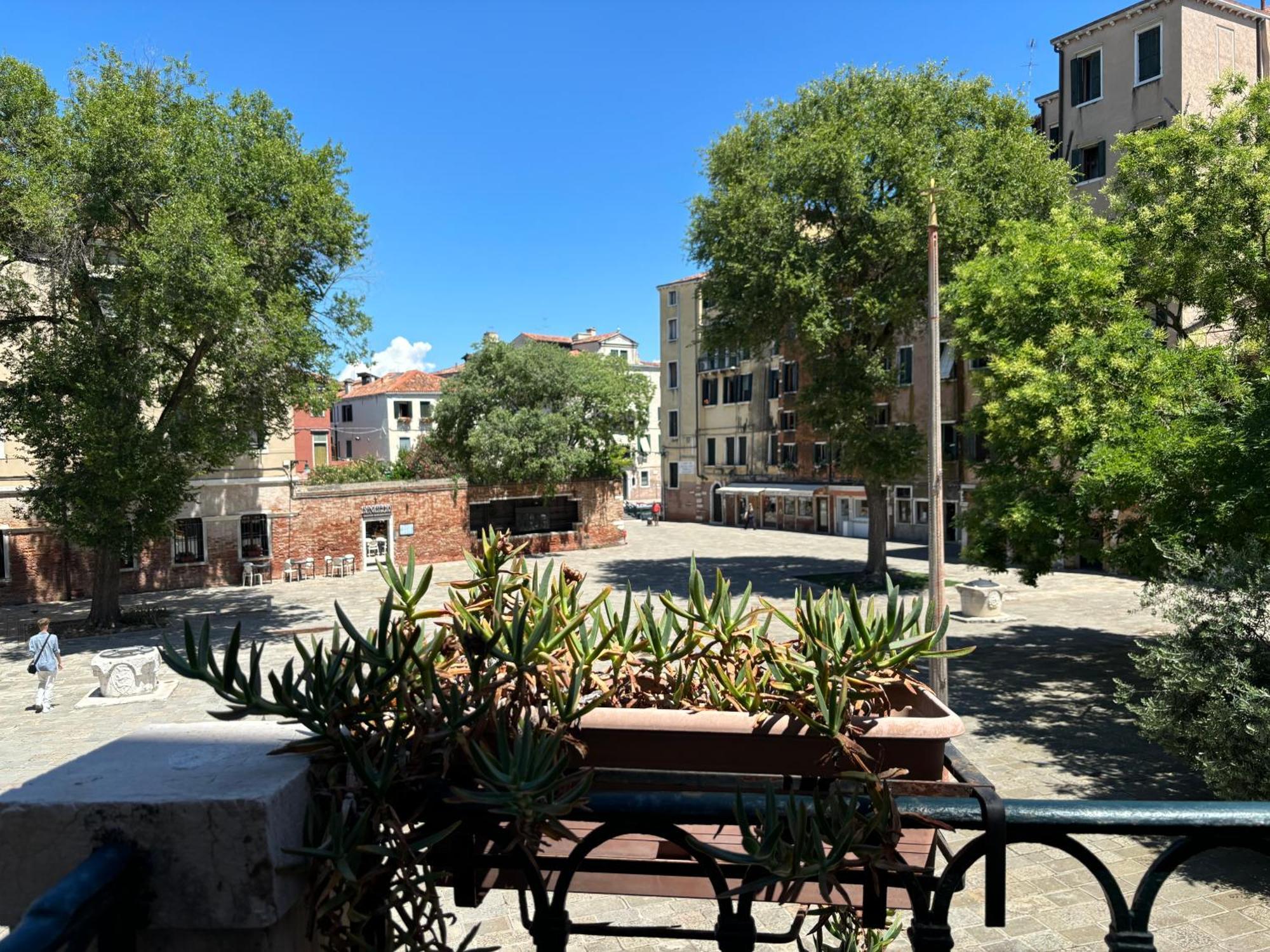 Junior Suite Terrace