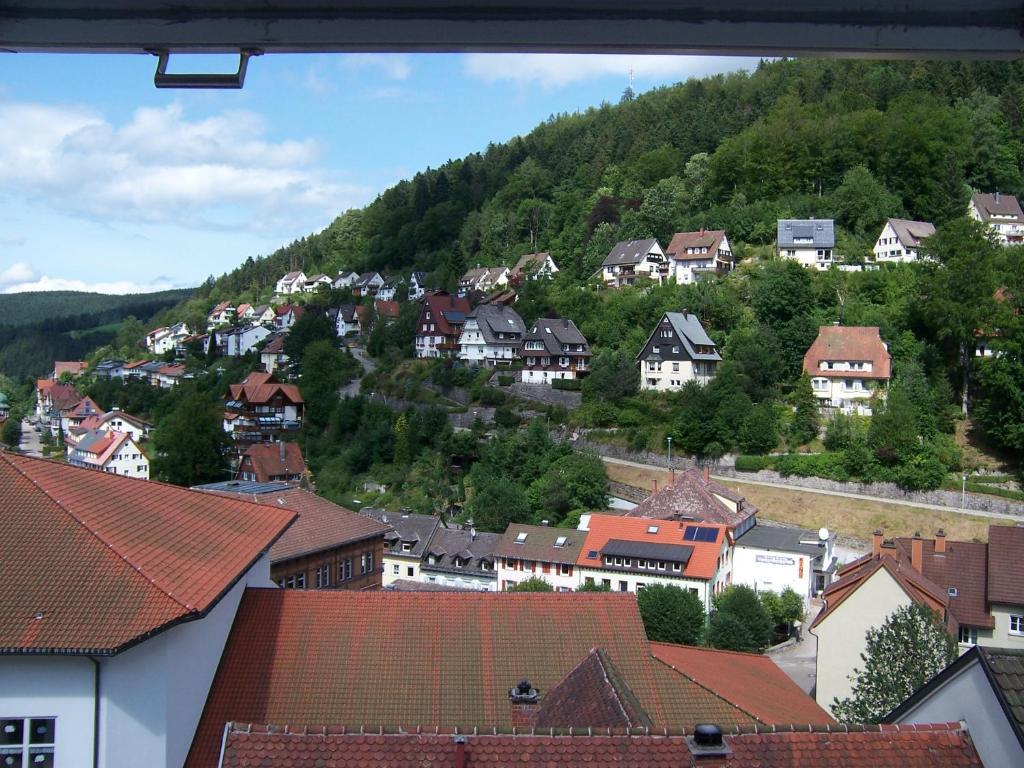 Double Room Mountain View