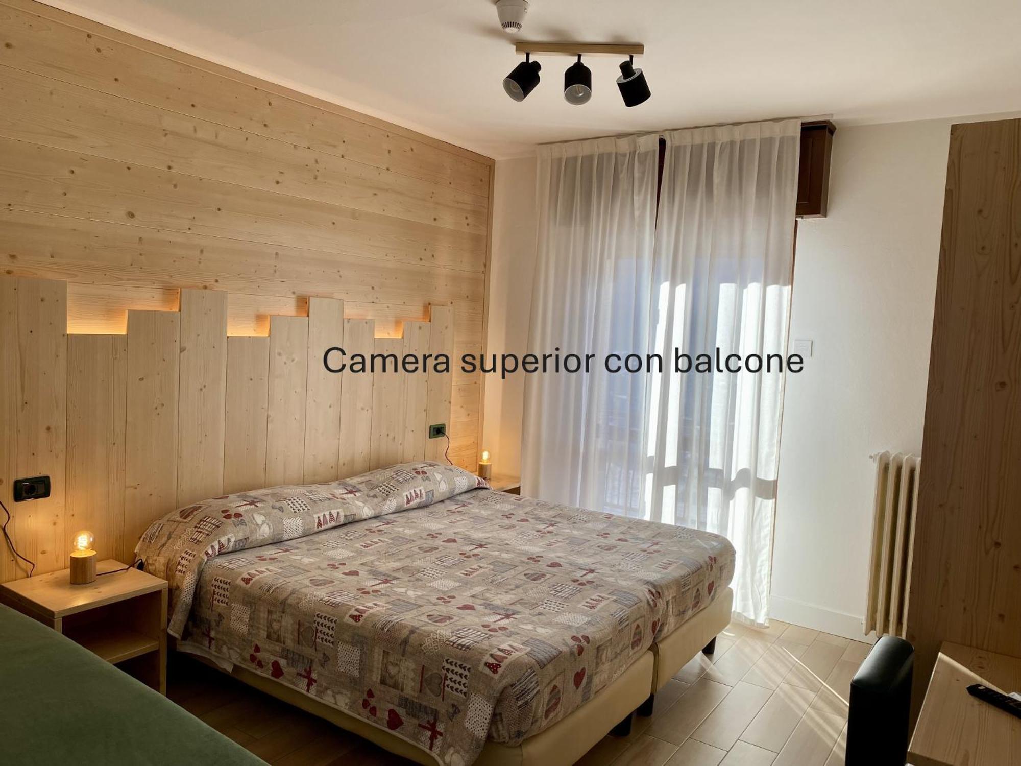 Superior Double or Twin Room Mountain View