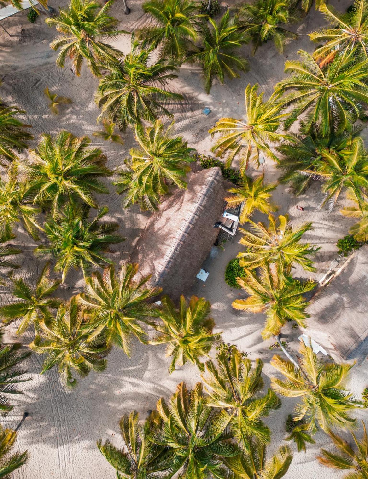 Deluxe Bungalow Sea View