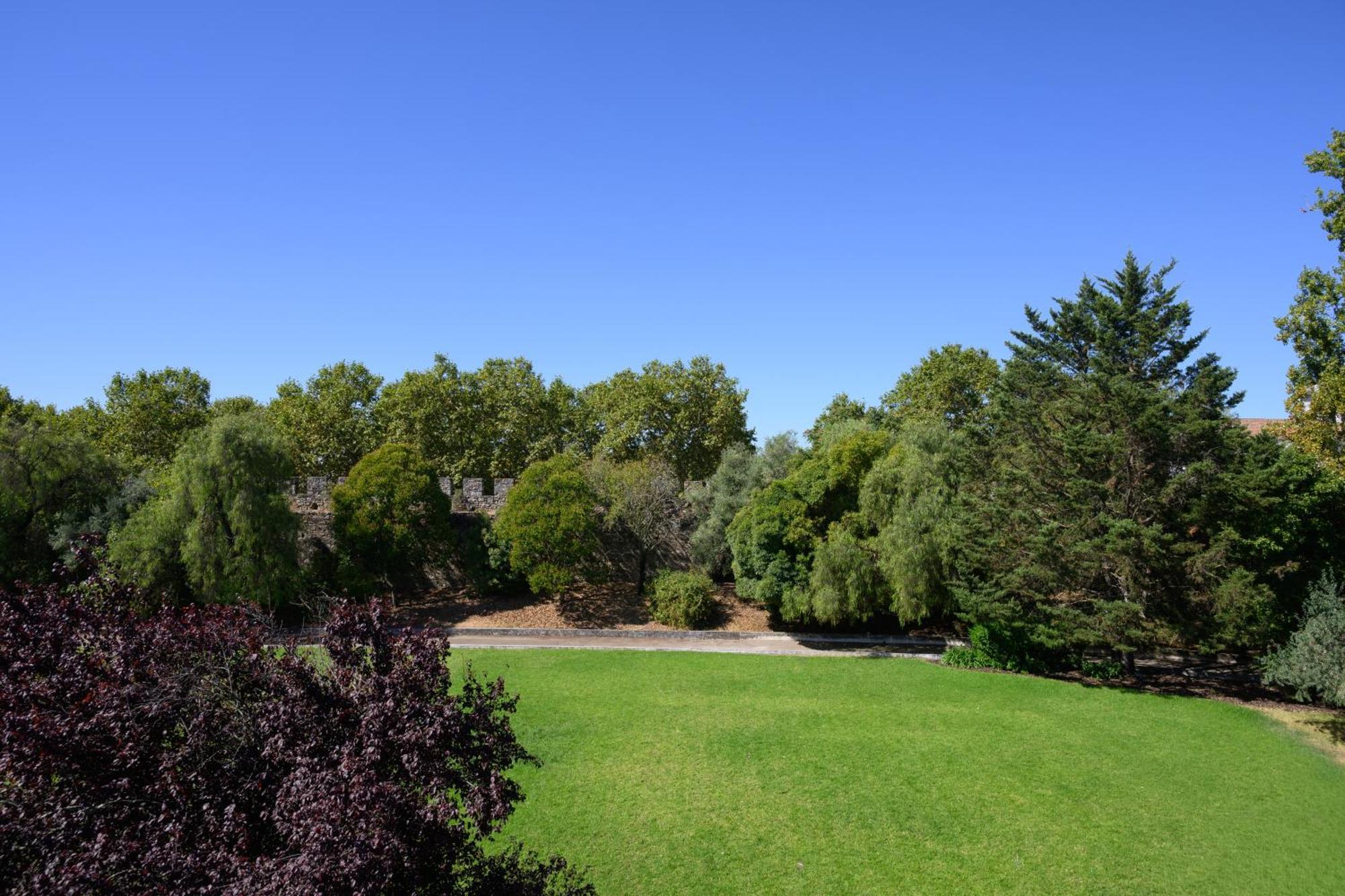 Classic Room Garden View