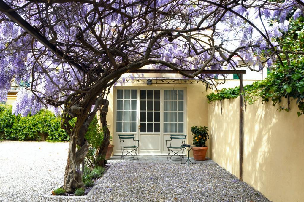 Superior Double or Twin Room Garden View