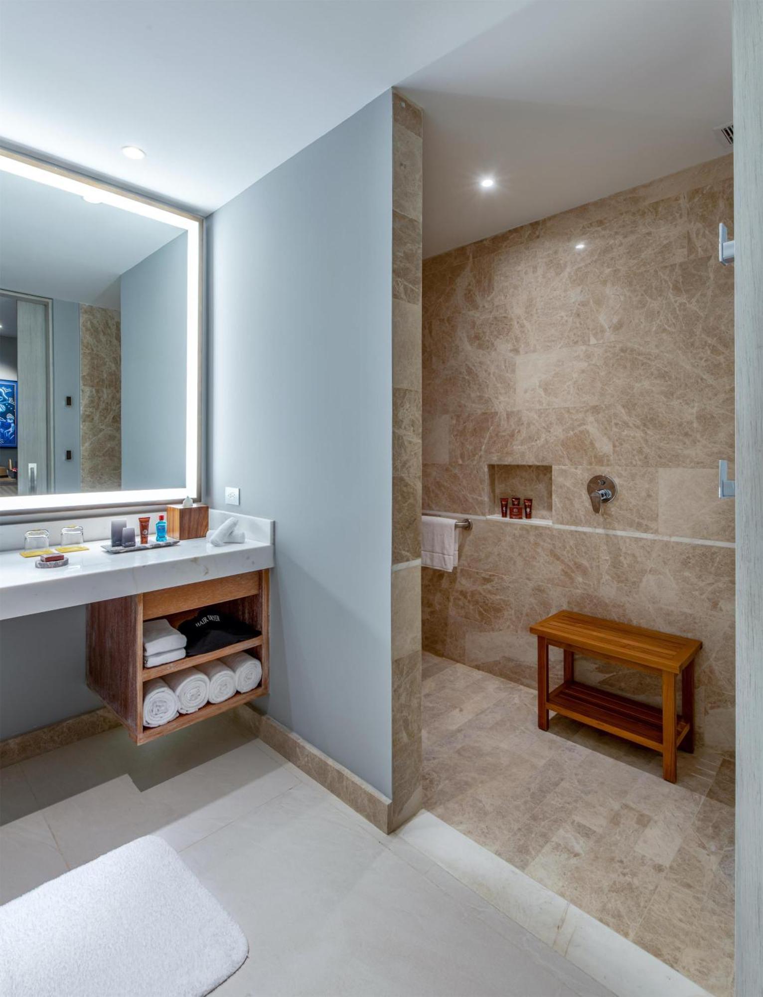 King Room Roll Shower Disability Access