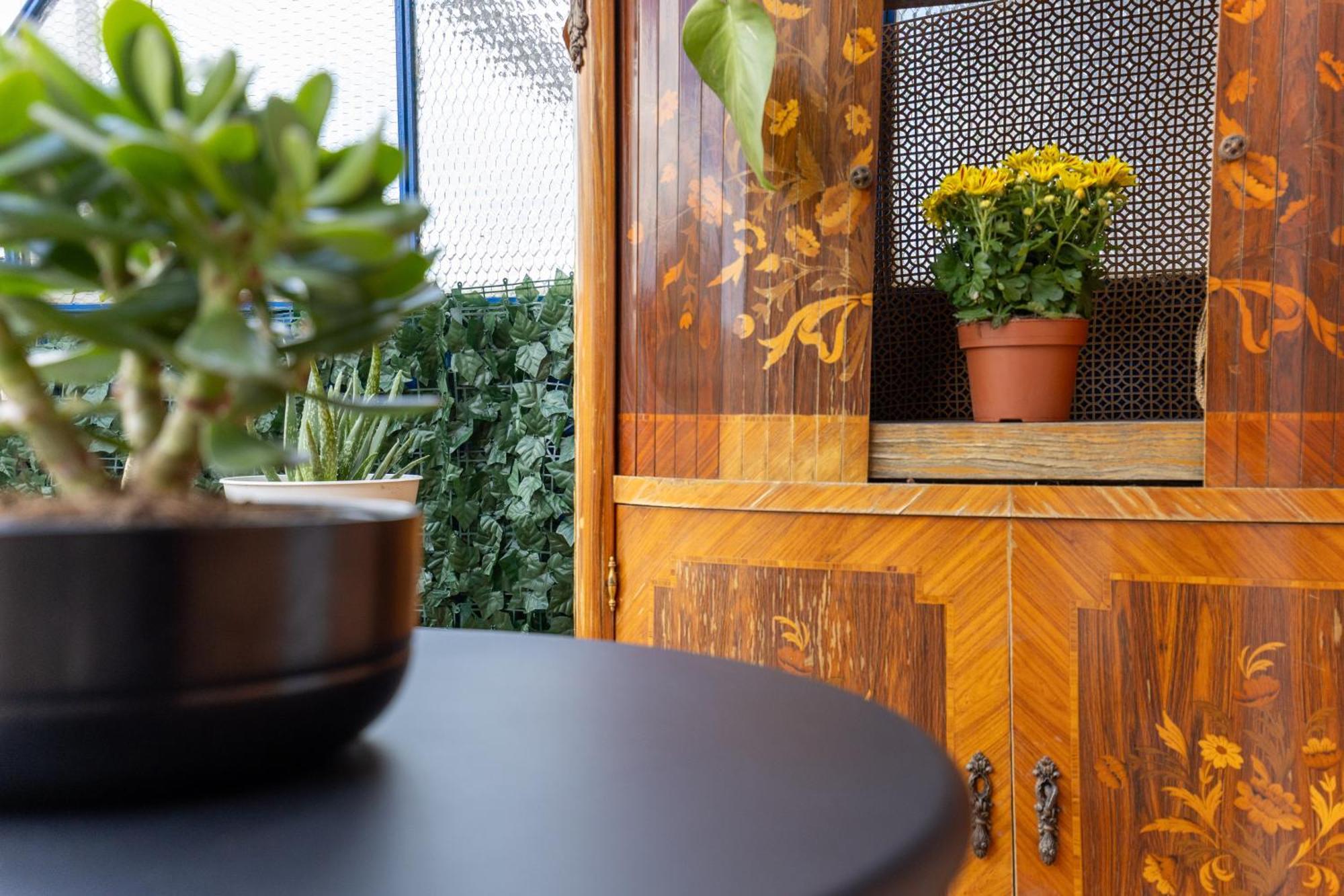 Quadruple Room Terrace