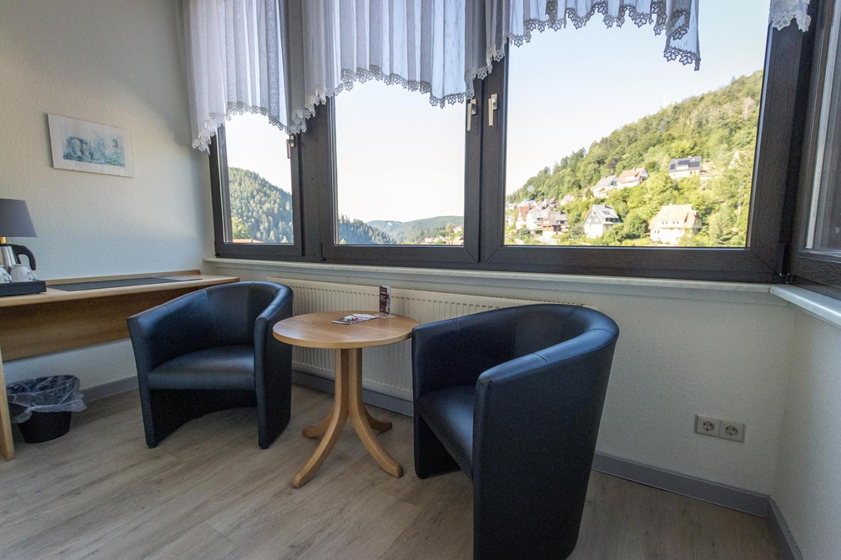 Double Room Mountain View