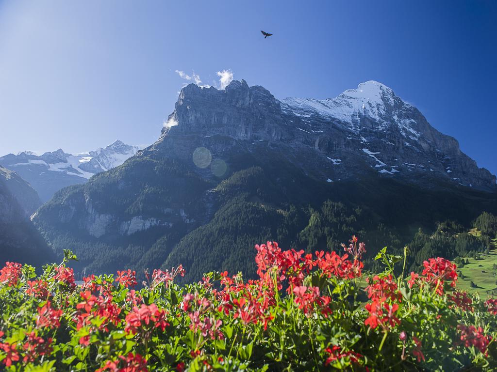 Small Double Room Eiger View