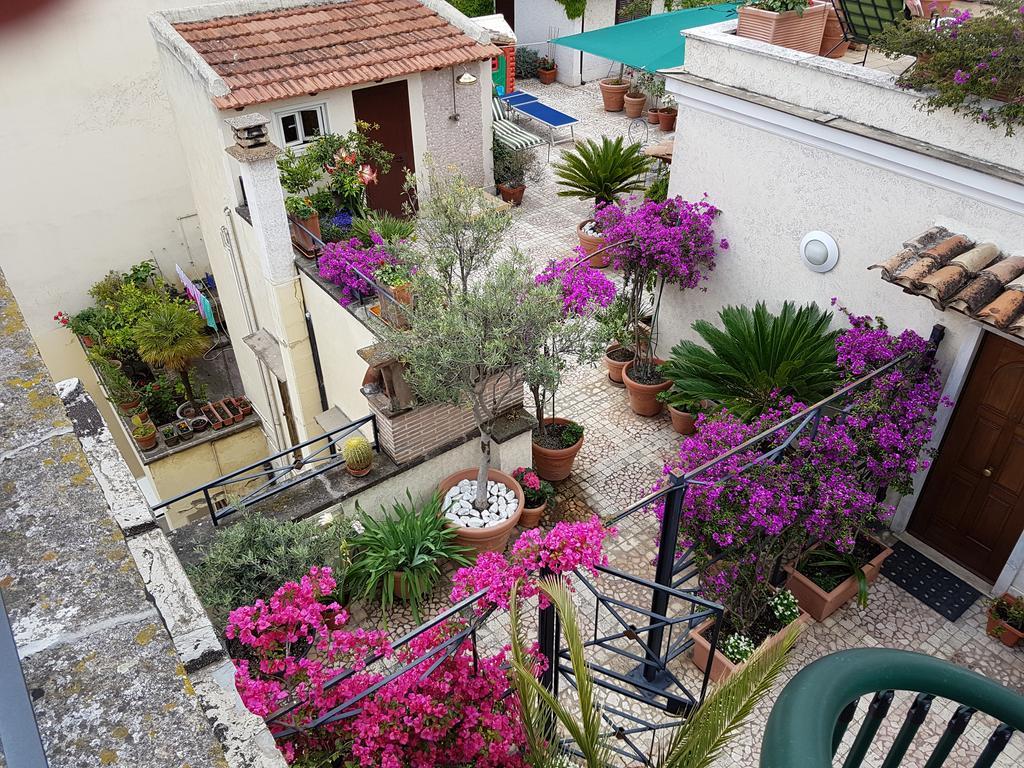 Suite Terrace