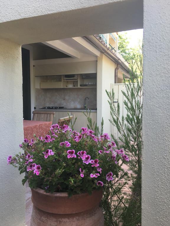Studio external kitchen