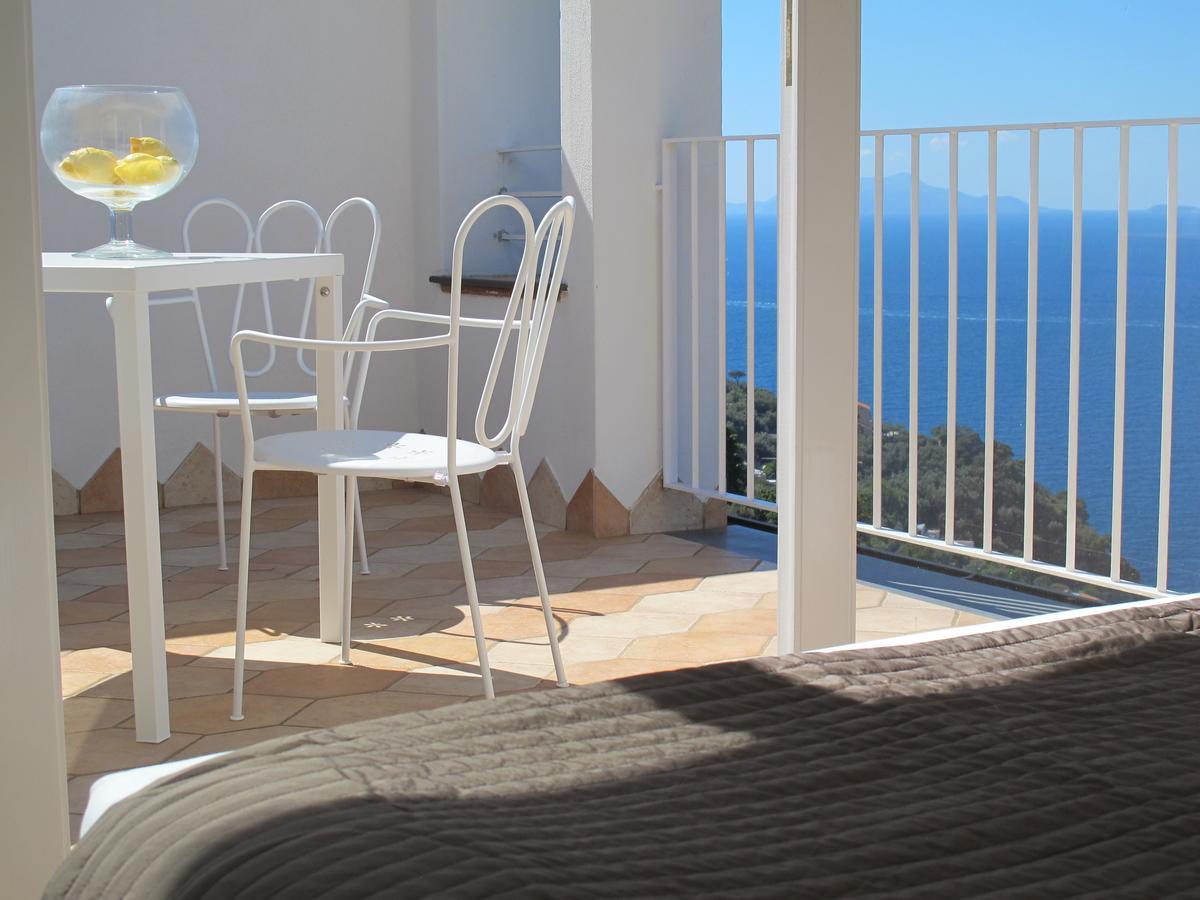 Family Room Terrace