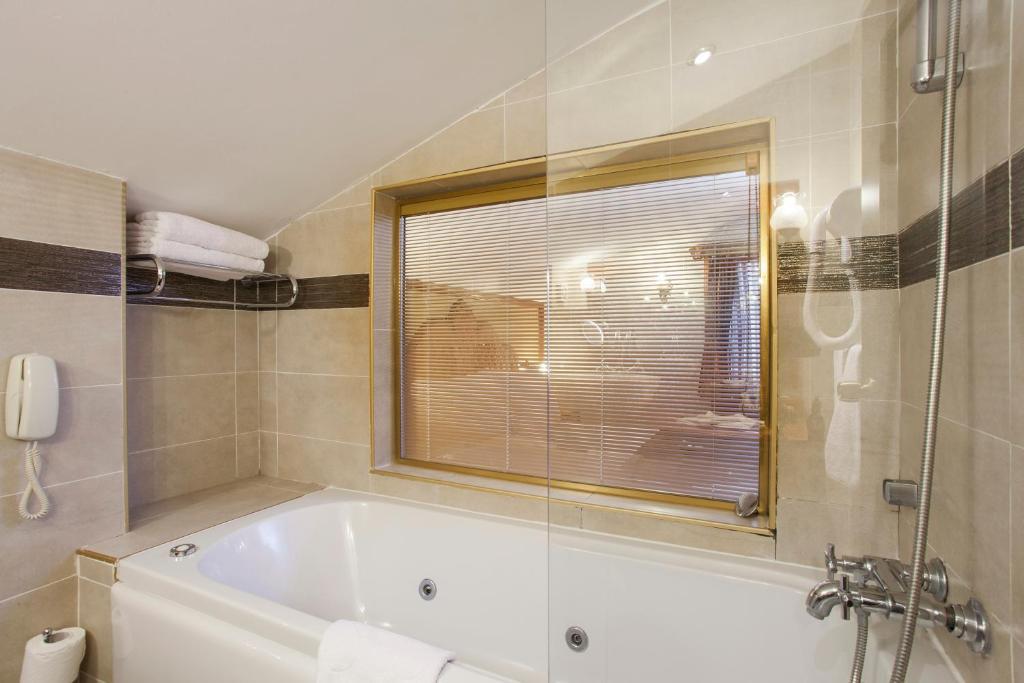 Premium Double or Twin Room Hagia Sophia View