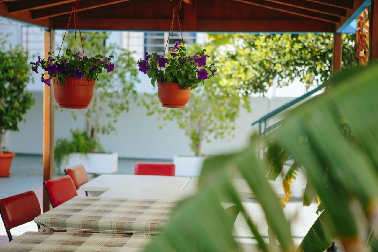 Standard Twin Room Garden View