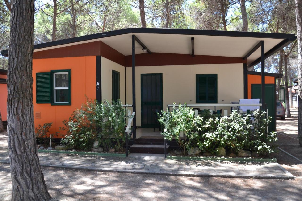 Standard Bungalow,738130354:JPEG