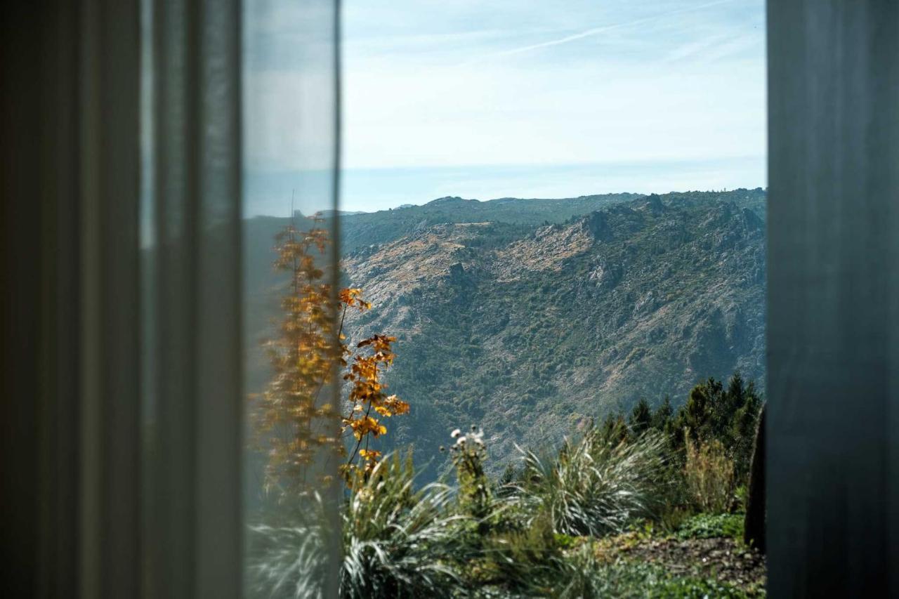 Comfort Suite Mountain View