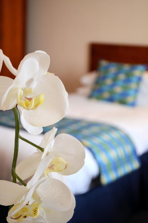 Superior Zimmer mit Kingsize-Bett