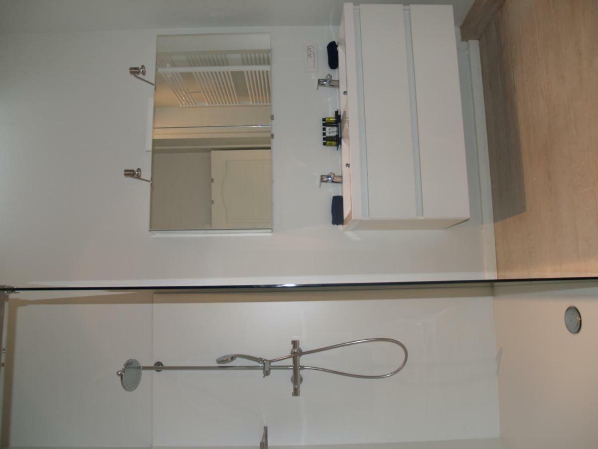 Deluxe Double Room Shower
