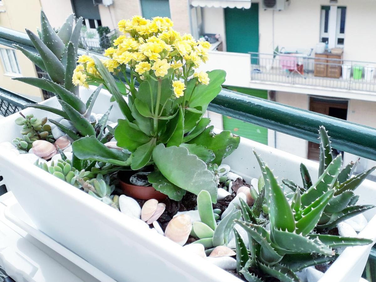 Double Room Balcony