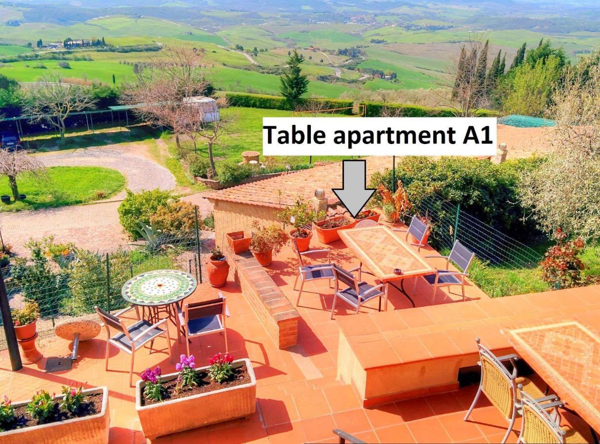 Apartment Garden View