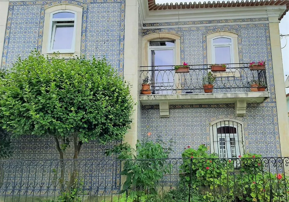 Casa Das Camelias Garden Guesthouse-1