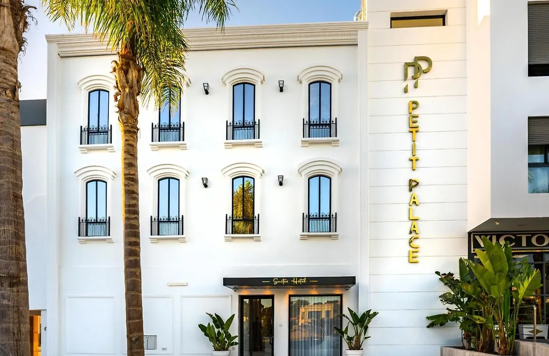 Petit Palace Suites Hotel-1