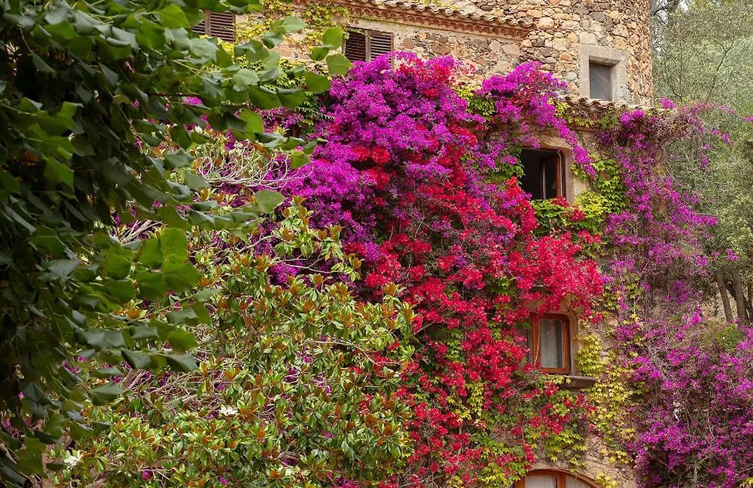 Hotel Mas Pastora - Adults Only-1