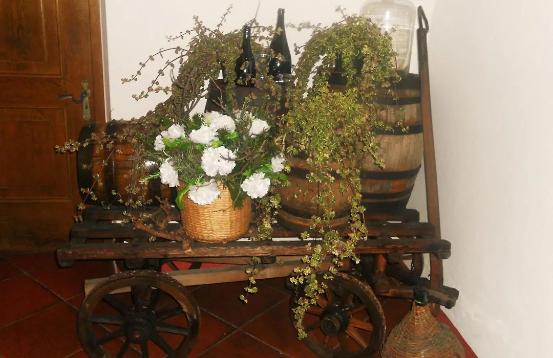 Gasthof Goldenes Lamm-1