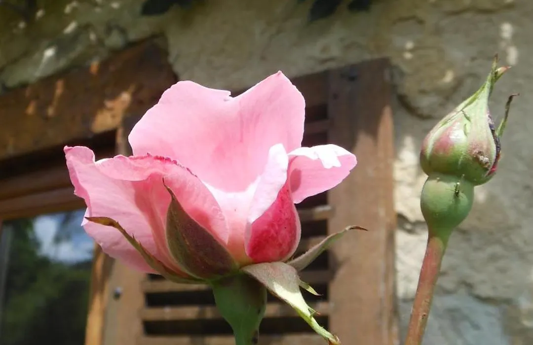 Domaine de Sault-1