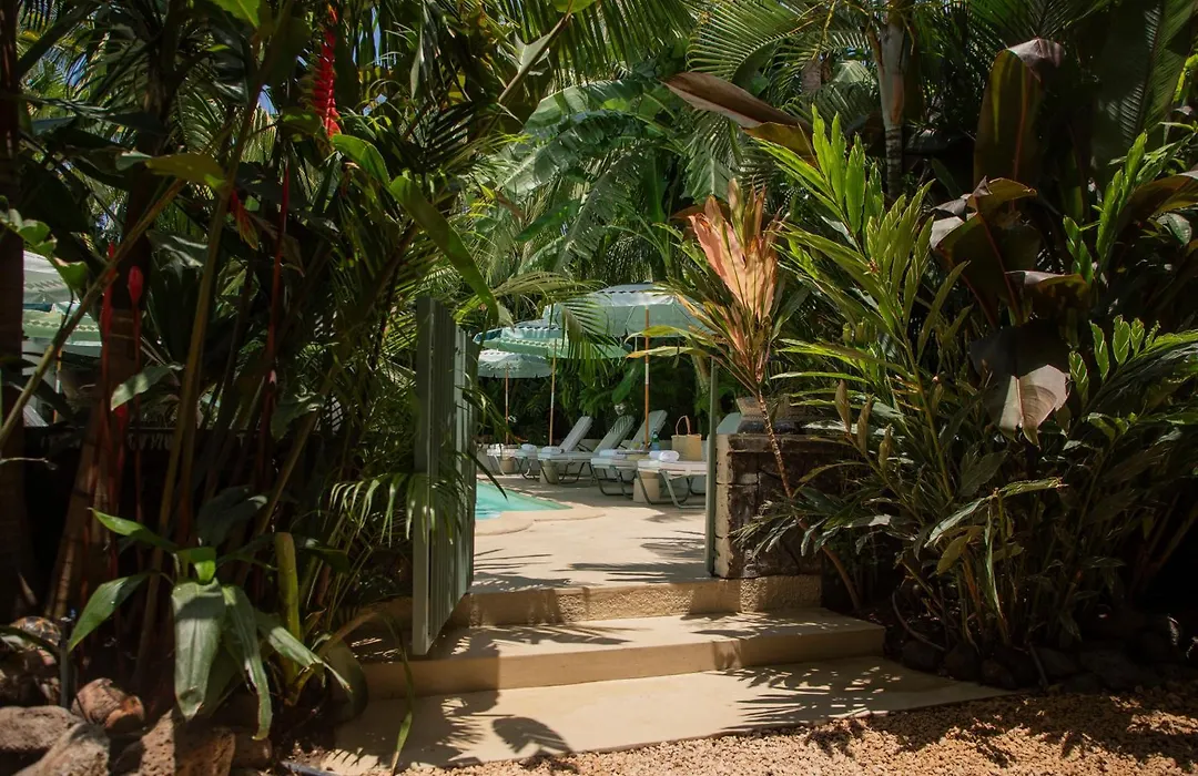 Maison Tropical-1