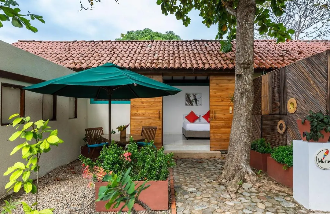 Aite Eco Resort-1