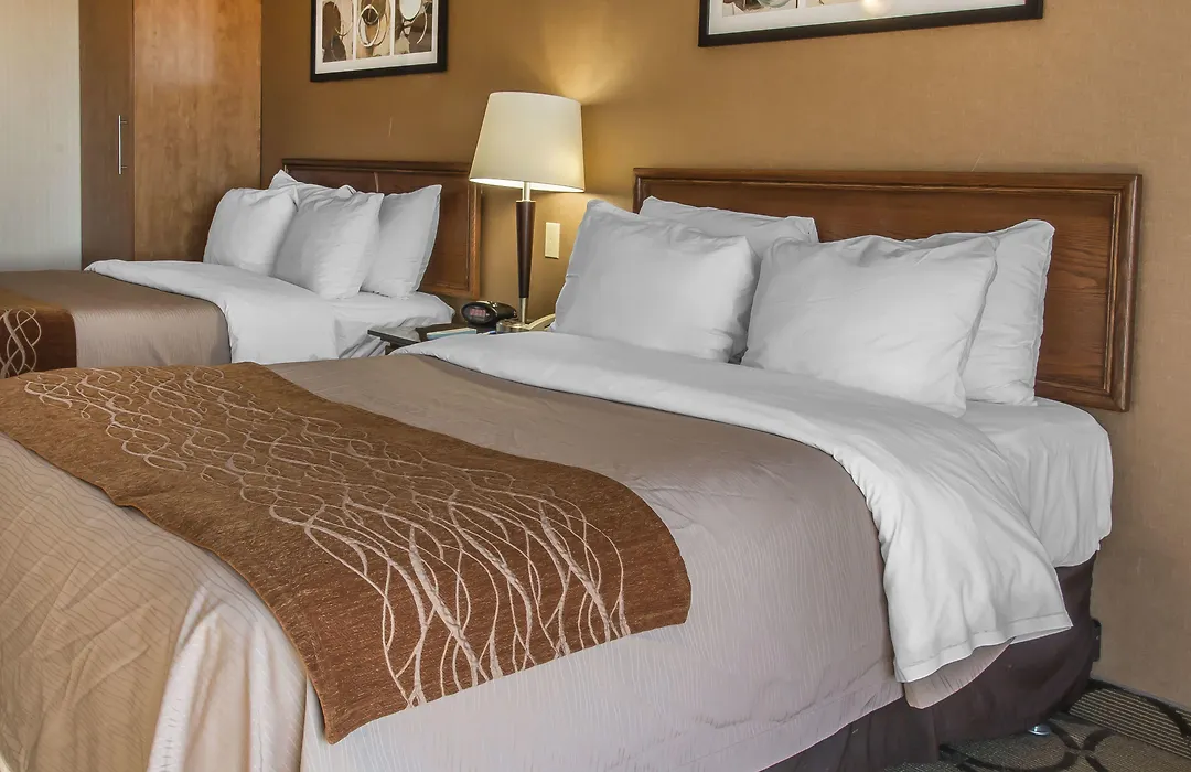 Comfort Inn Prince Albert-1
