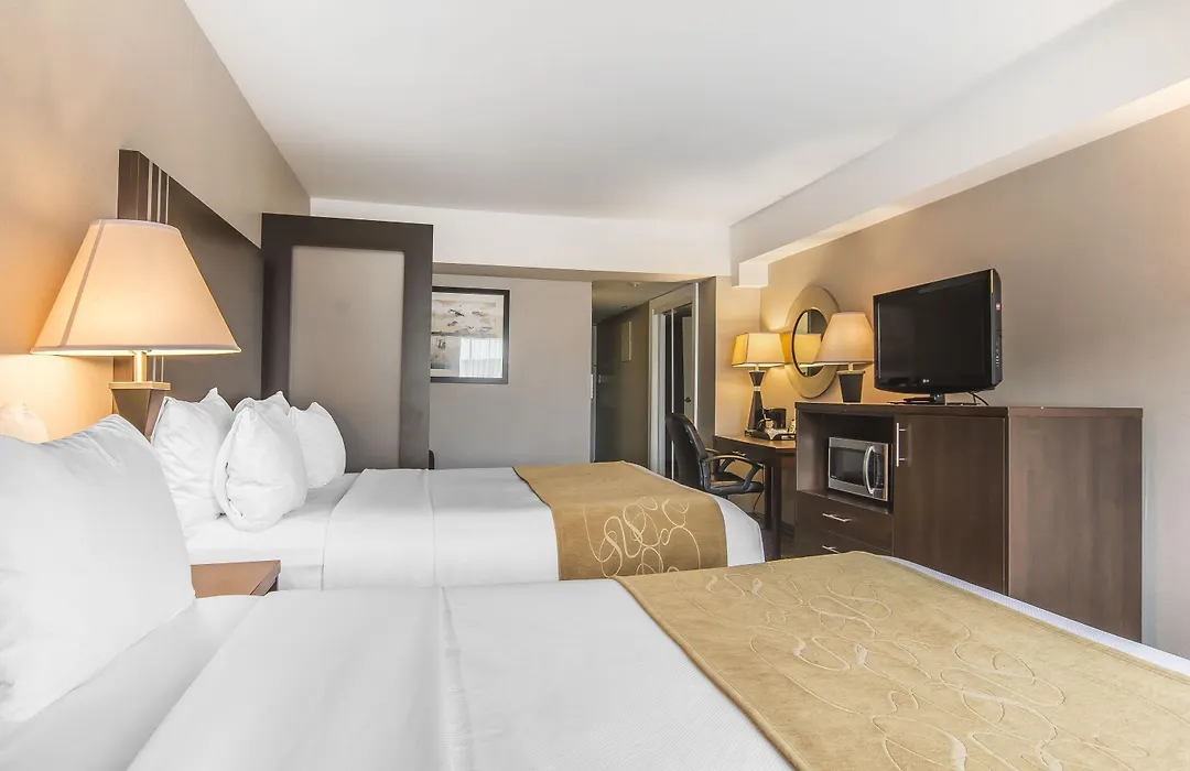 Comfort Suites Downtown-1