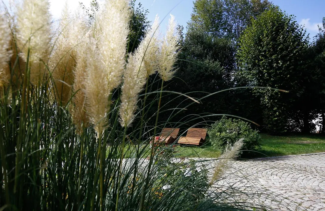 Best Western Premier Bayerischer Hof Miesbach-1