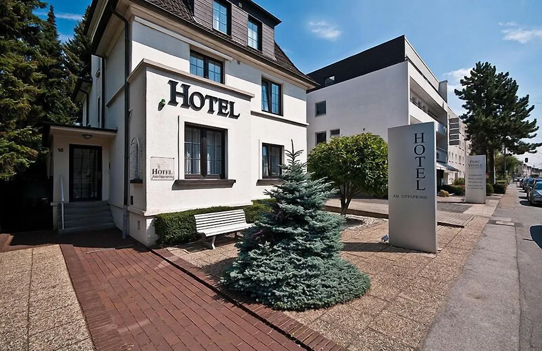 Hotel Am Oppspring-1