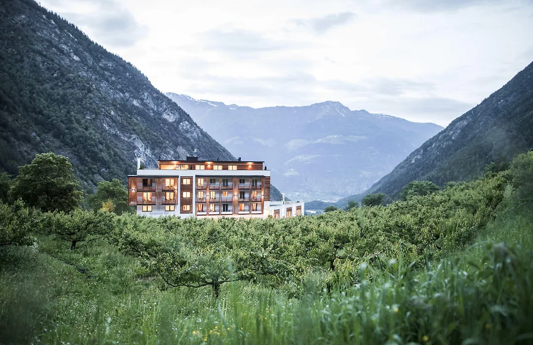 Hotel Burgaunerhof-1