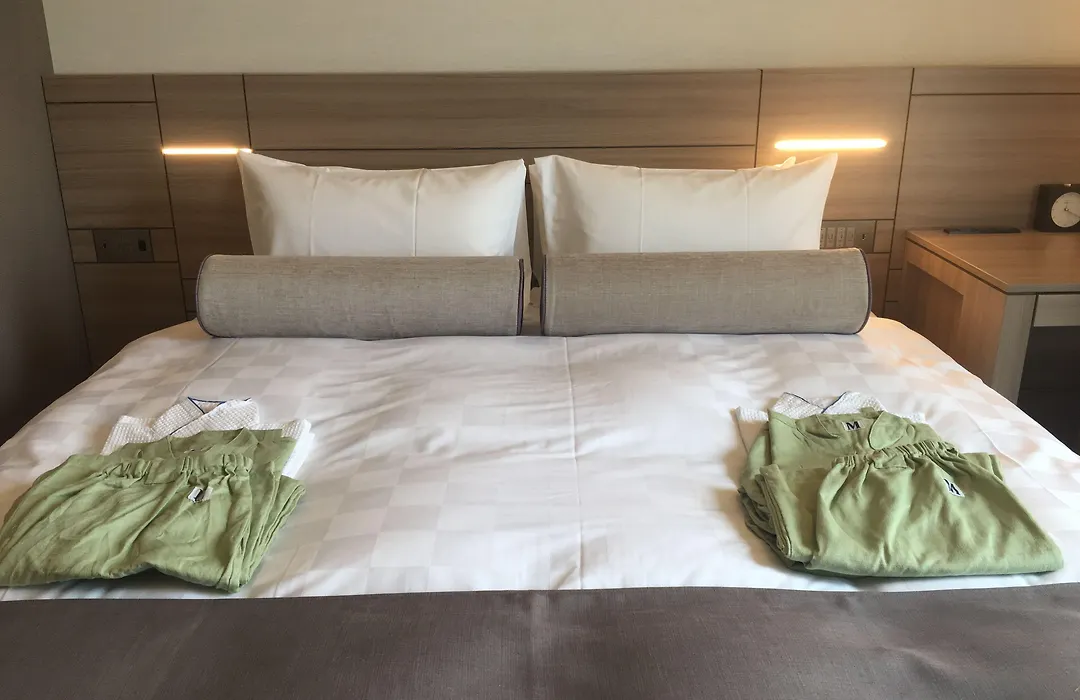 Nihon Seinenkan Hotel-1