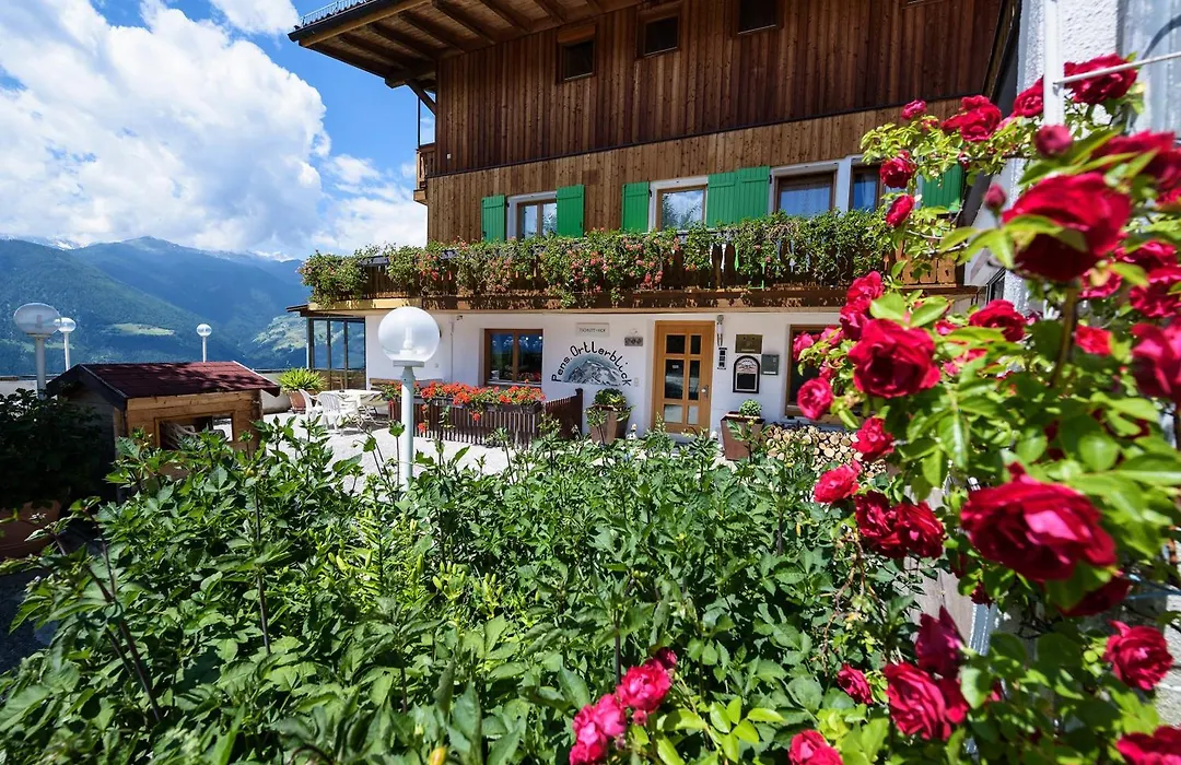 B&B Apartments Ortlerblick-1