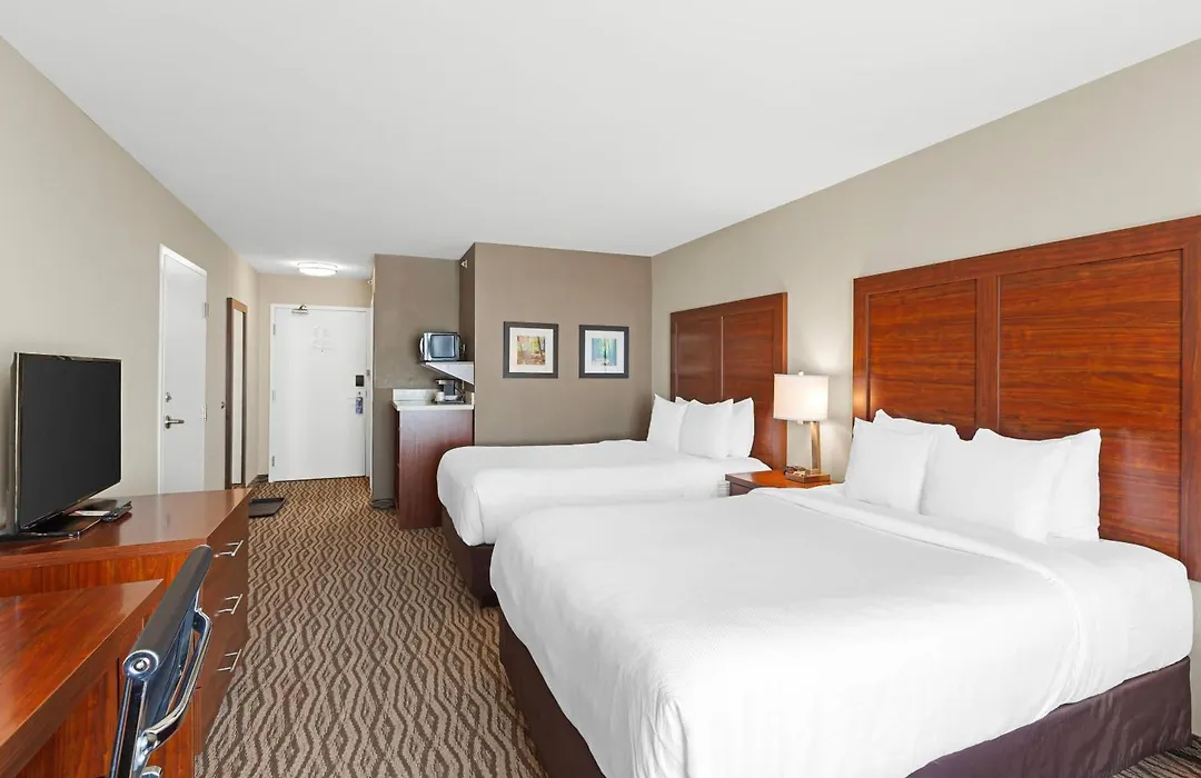 Comfort Inn & Suites-1